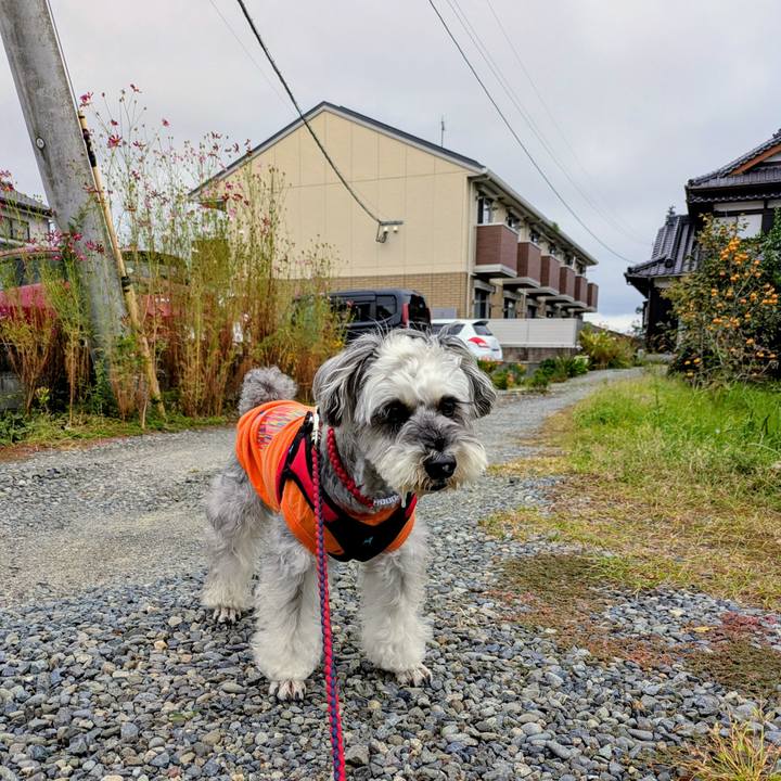 5904b3f6 3f2b 4200 a247 e76f55776a25 1760919713928