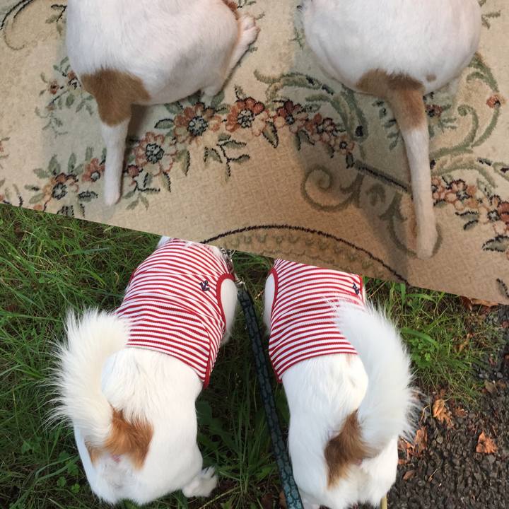 59051600 74cb 4fc1 b6c1 bba3a1053b79 1564664305704