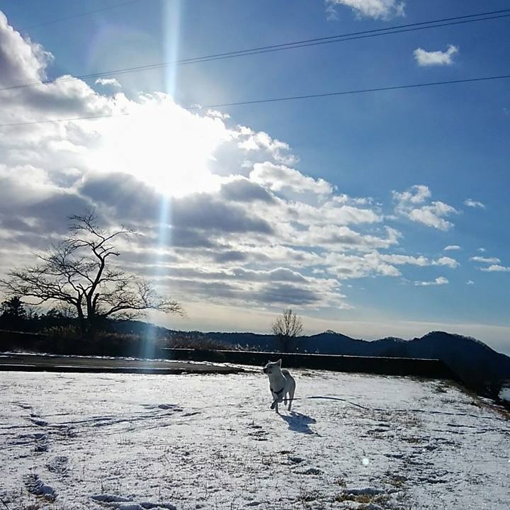 59052881 721d 471b bf7f da01a562fde6 1610245423245