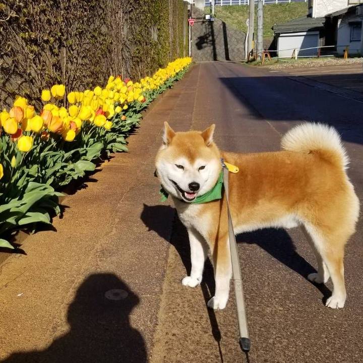 59053559 dc51 4f0e 9db0 7e1627f784df 1555743711628