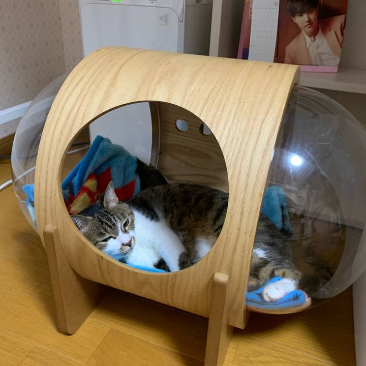 59056302 1249 4b70 b6df fb55e4665727 1633436439852