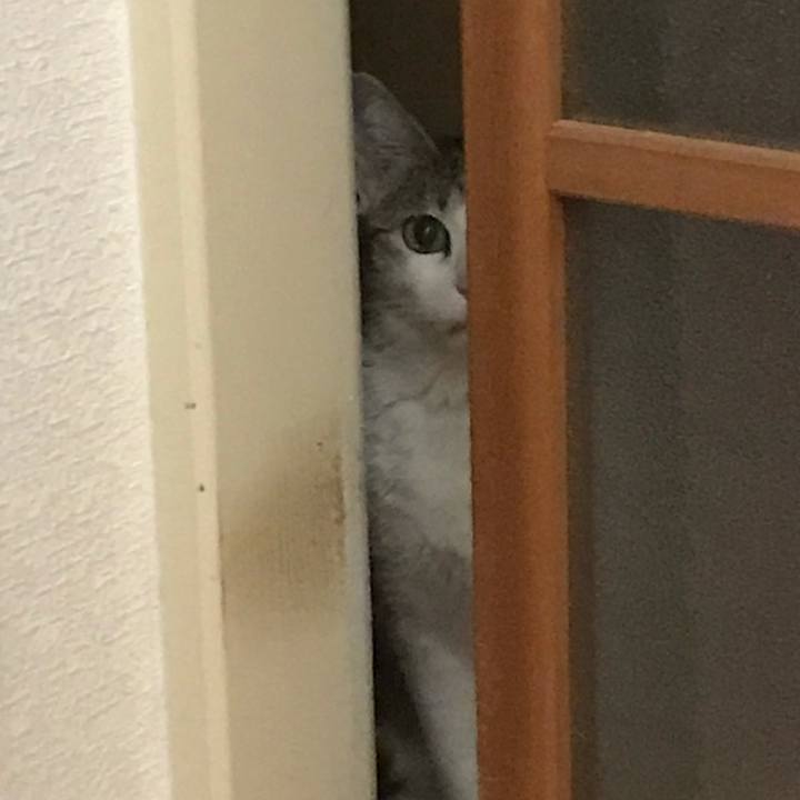 59056c6a db6d 4a6c 80a9 0958d0dc554f 1623740326084