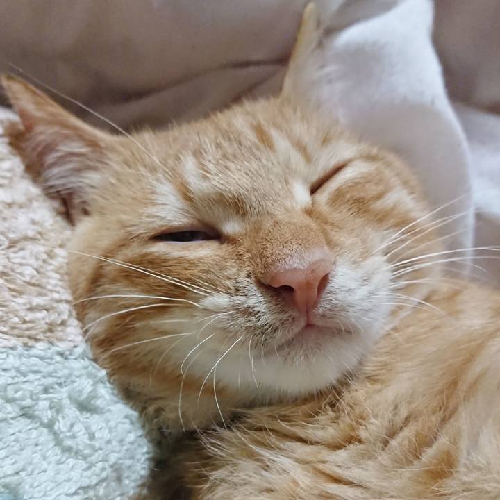 590580a3 7788 477e 81ab b6f3c5ad915a 1633608471760