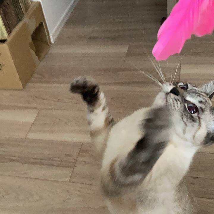 5905d229 c5f9 4127 8d33 af5824d686b1 1607145766248