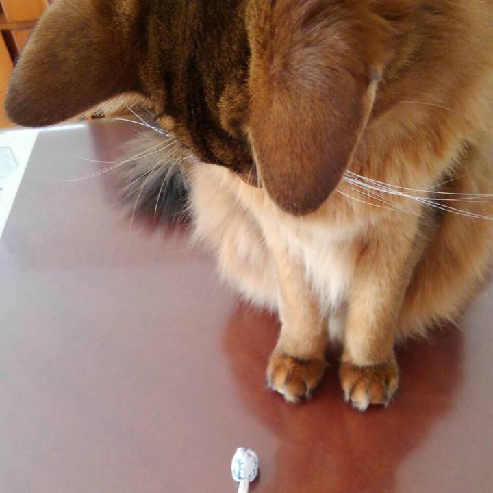 5905f273 f1e0 44b8 b159 18ee30cefb83 1617690471624