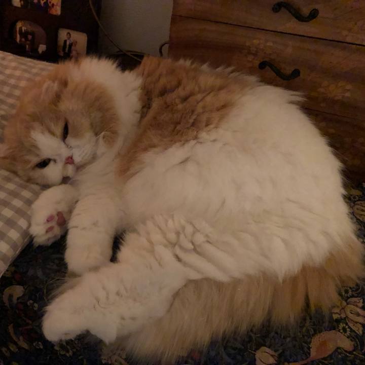 59060fa4 4bdd 4ae8 a915 8db5c550abd3 1611148954333