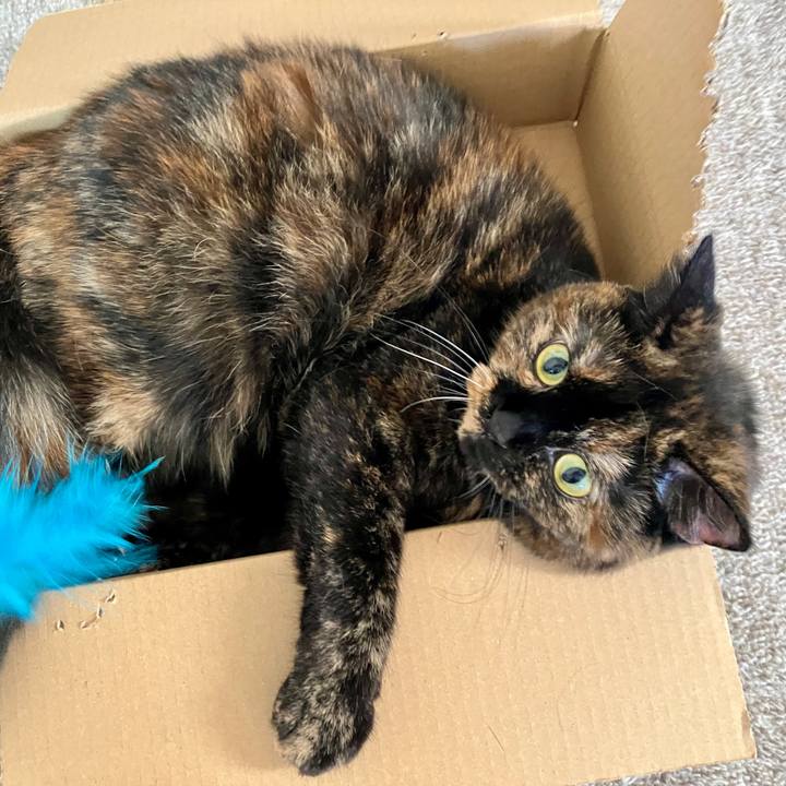 5906222f 363a 4770 919f faf54be3184c 1763126110430