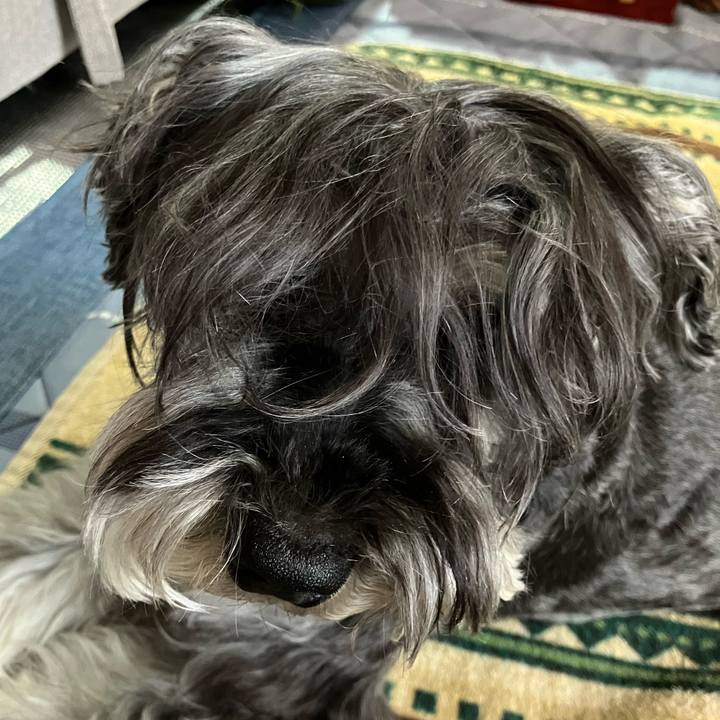 590626ad 7650 4855 81ac bcd57b289b91 1715438542644