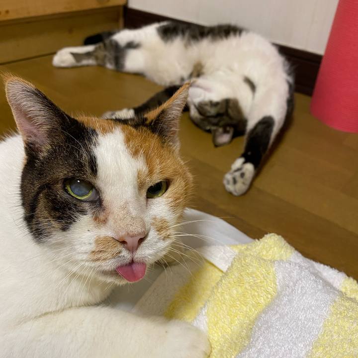 5906394e 675c 4d48 902b e5d1c864ba06 1598083305196