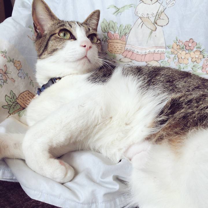 59069186 10c6 4464 b4a4 99b06329dcaa 1514348005053