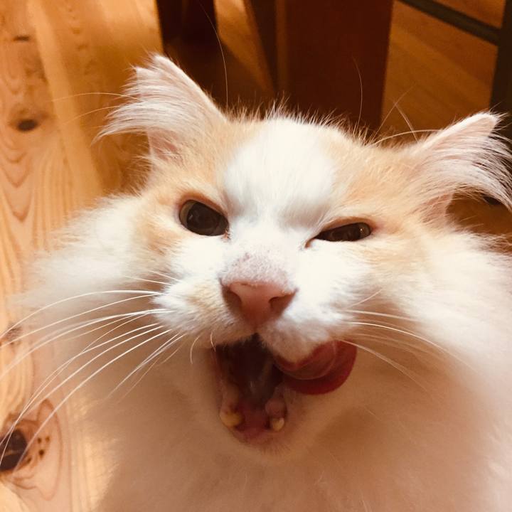 5906a8d7 13ad 4dac bcd0 859bf5231b55 1590189776368