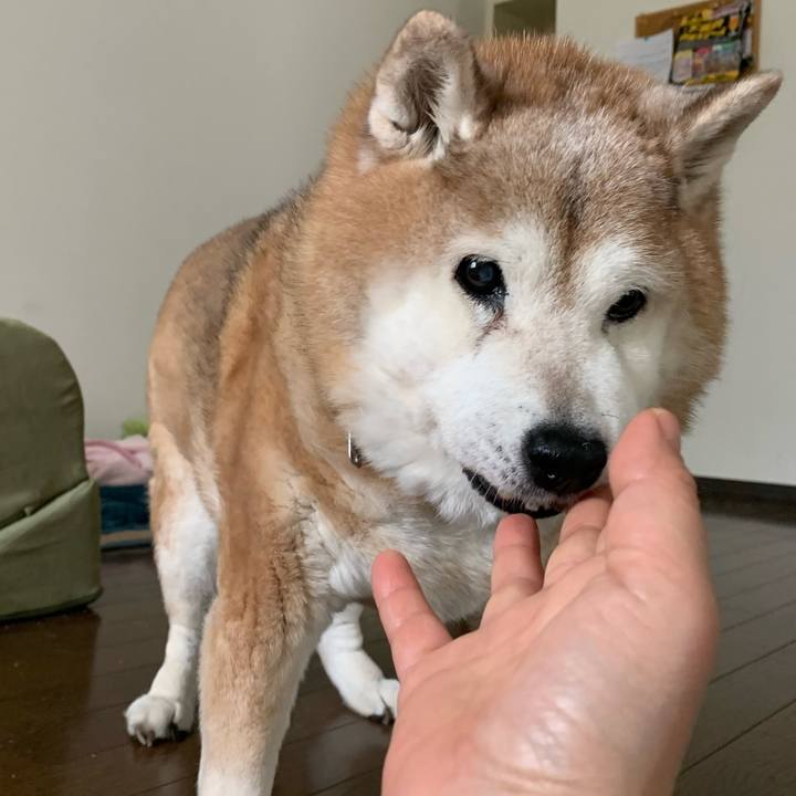 5906dd96 8faf 478d 91e7 01fac8a1d331 1648945499482