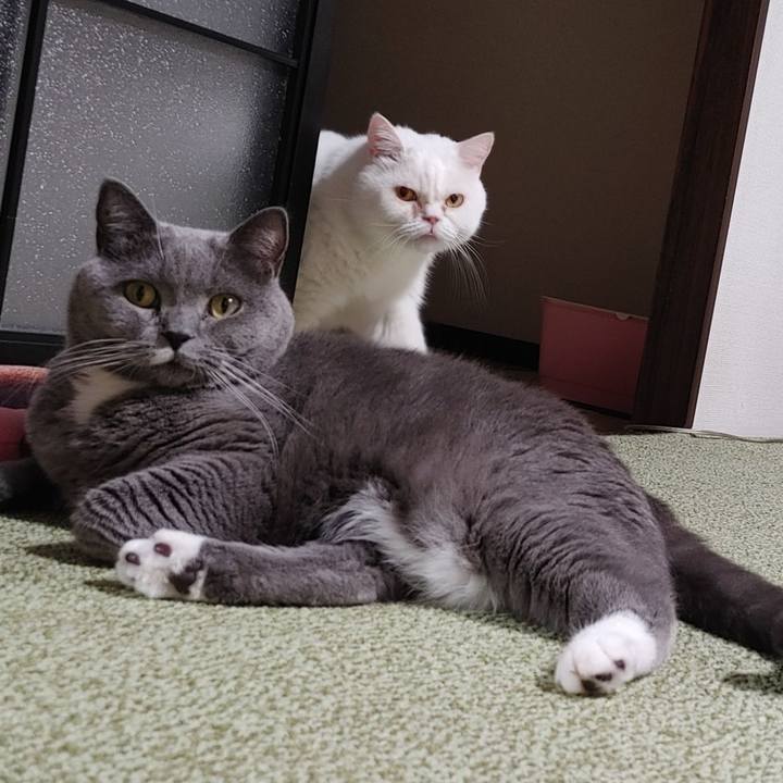 5907097e a121 4da2 938e c0bae8b5d2e6 1636631625521