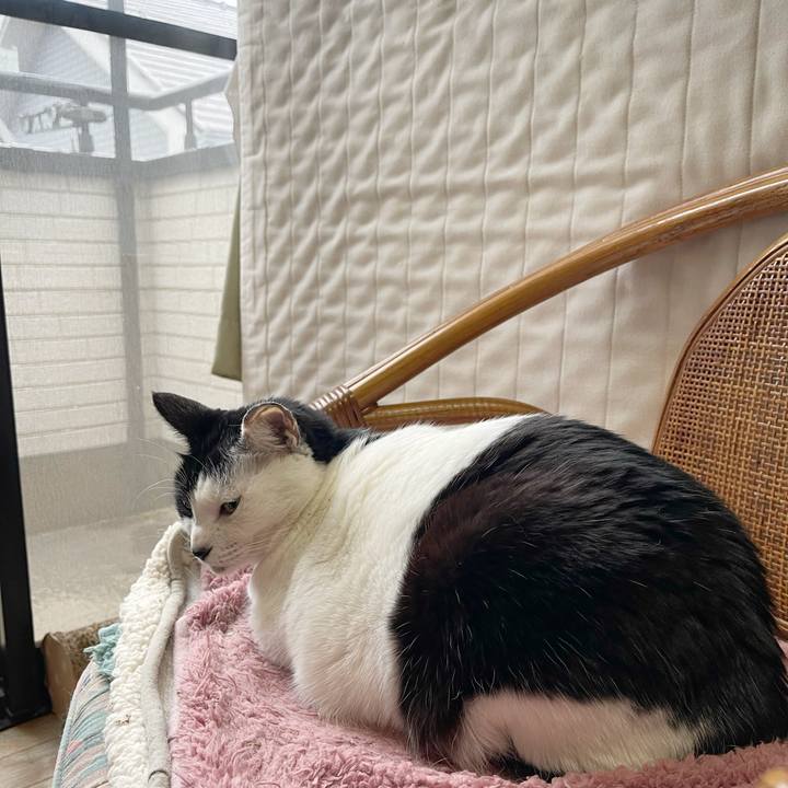 59071b05 cff8 4e97 9467 7d4b8066e1a1 1770850057766