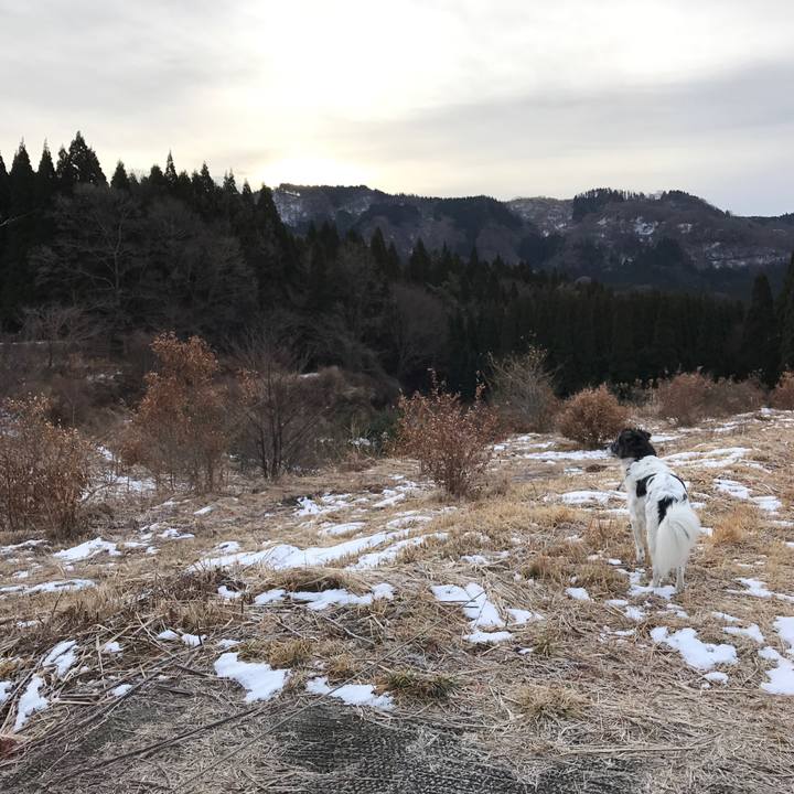 59071d4a 013b 4359 a2aa 9d4e25926ddc 1515303717451