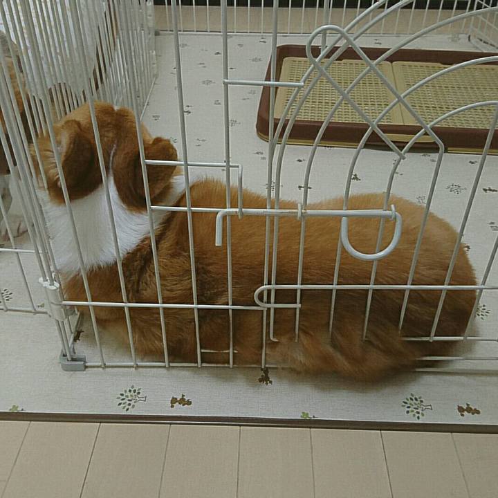 59072453 a6bf 4edc 8fc7 62c991f3fcd1 1533262272100