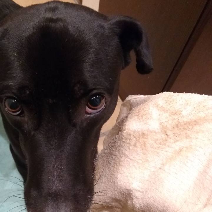 59073660 e27f 4a5a 9a65 6e14ff952e16 1620731573476