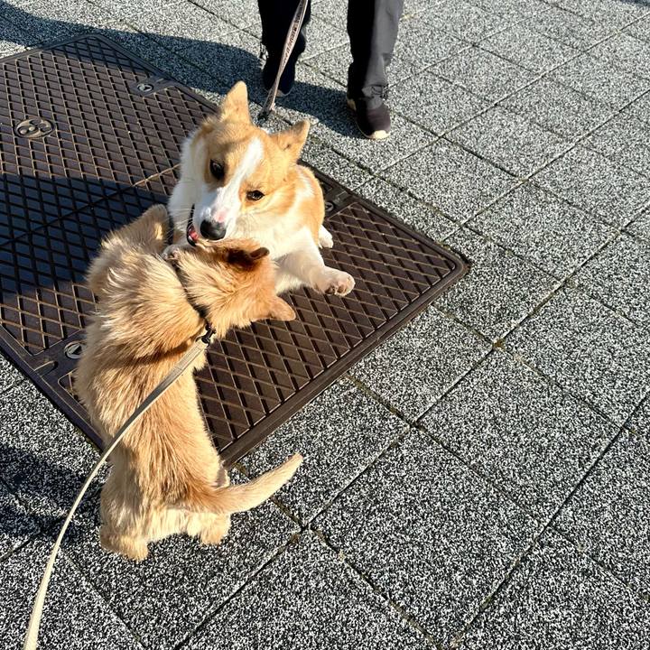 590835e8 2a6f 4a99 806e 96614887dccb 1710450756464