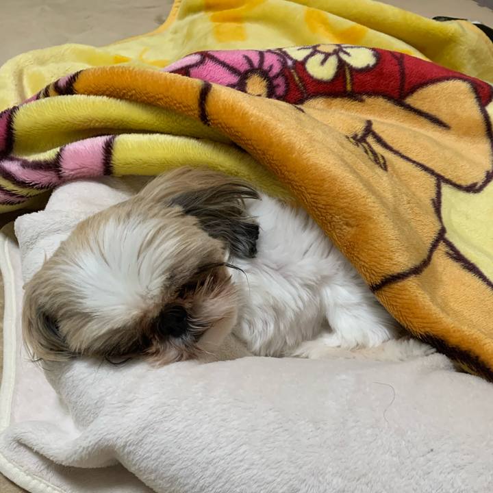 59084a86 5414 456c aff9 032f077ac53c 1602938245256