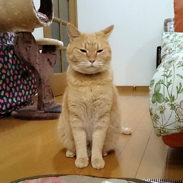 59085ce2 cbc2 43df 9b30 e7456bd3e44b 1540511384147