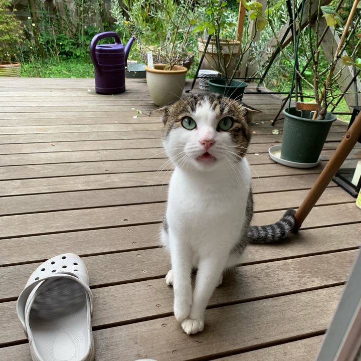 59087da7 4cd8 4e69 a002 f7ca88308522 1570089403638