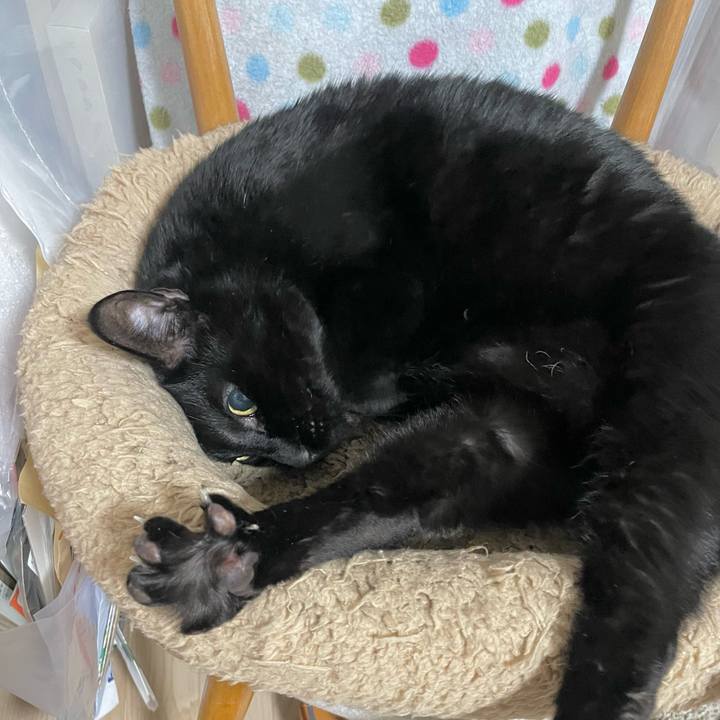 590893b6 a22b 4fb6 b0da d124c41a0932 1742303457442