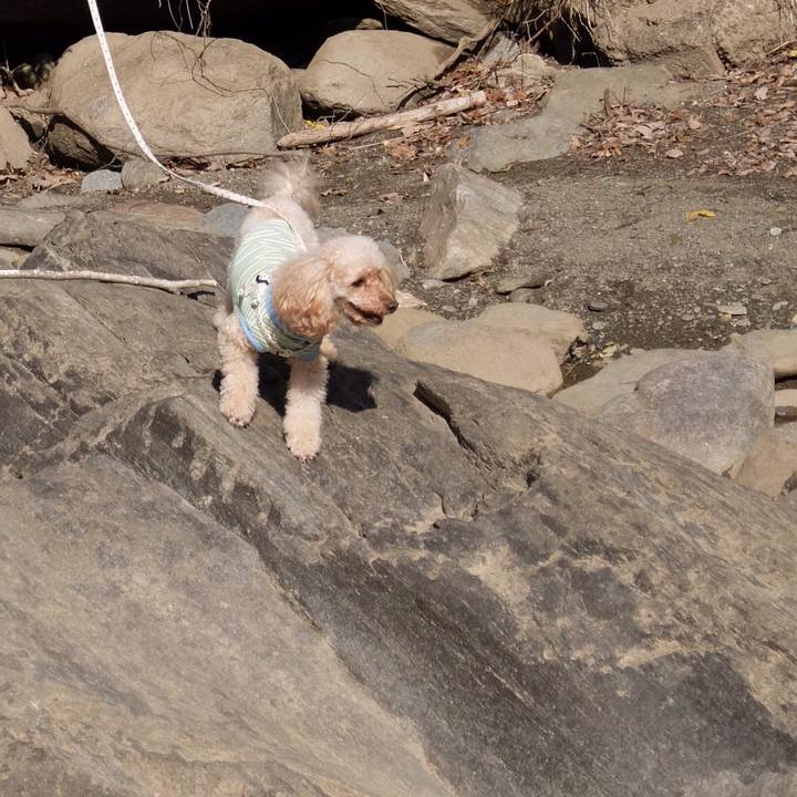 5908ea5f 668b 4fea 8b77 f94715b52619 1542451388391