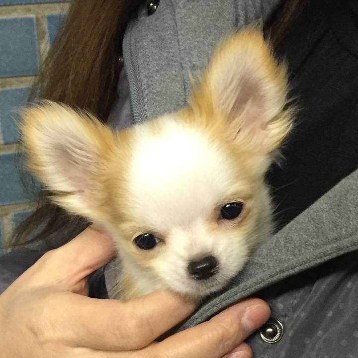 5908f1c2 fbe5 455e a515 b438cb2f6ad2 1515050159619