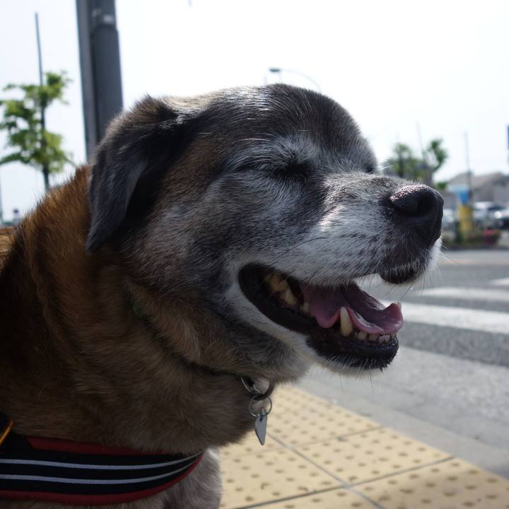 590932a3 9b06 4a75 be92 6b8b302b3233 1557017247605