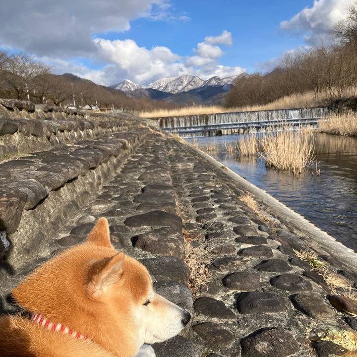 59094eaa d15d 4878 8d72 edf8fd659e68 1773384850437