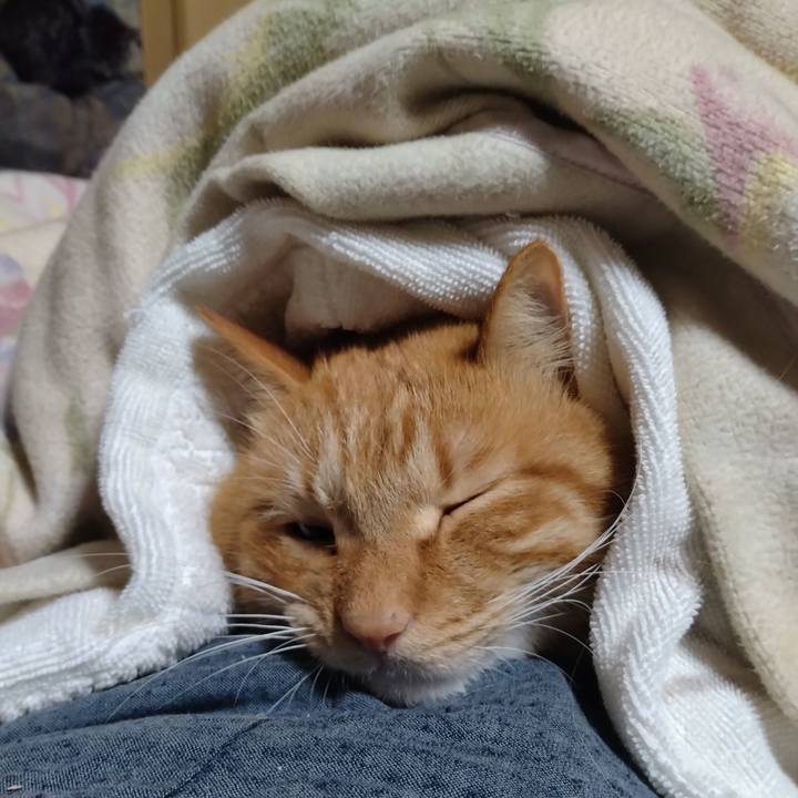 5909539f b07e 4529 a6d3 b6e16a972237 1704371494254