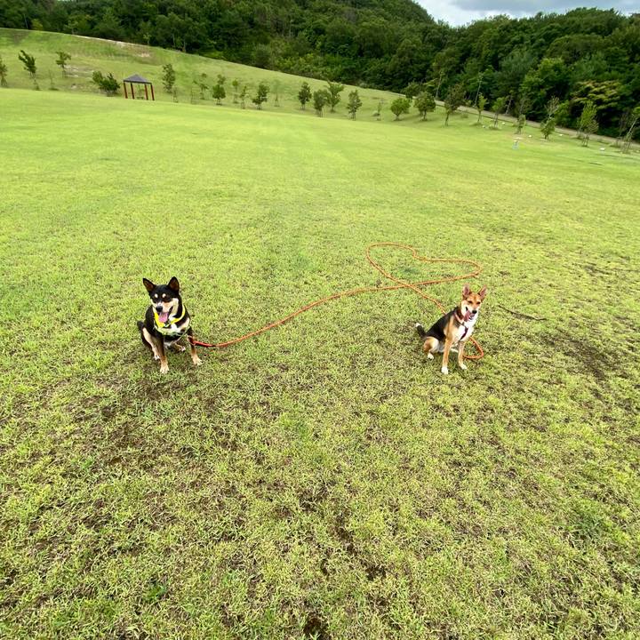 59095411 4a13 42c9 985c 625406cafc7f 1592631944268