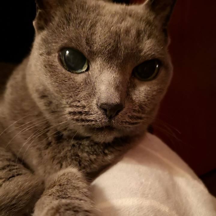 5909d84d 5f5e 4533 9ee9 7c466a530f53 1589894701275