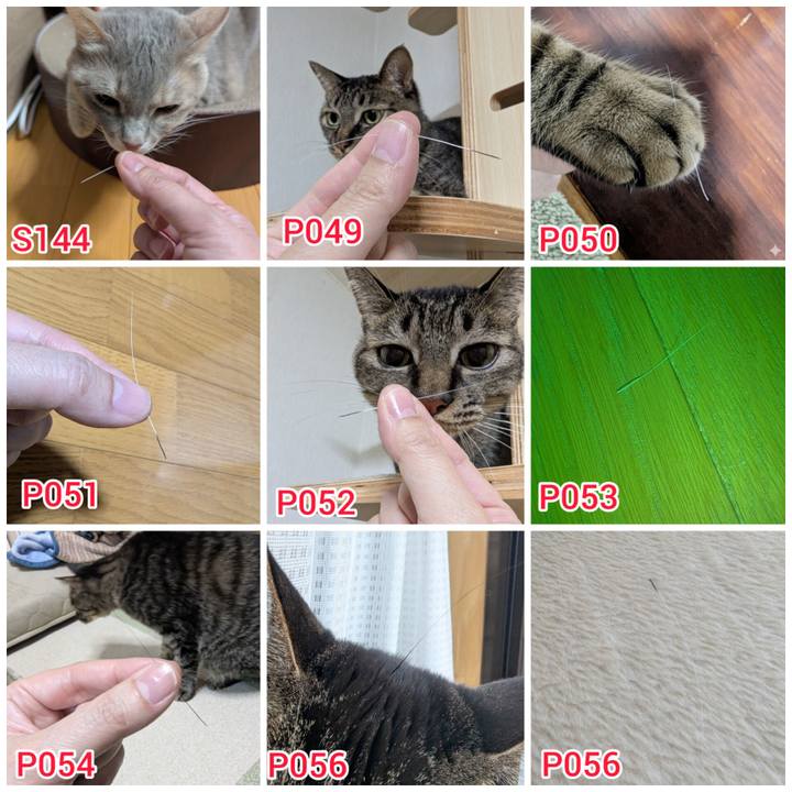 590a1515 ba86 4444 843e 436832dd876b 1770261286783