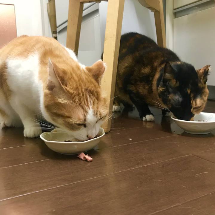 590a3543 847d 464d 8382 ef46db67548e 1552055416931