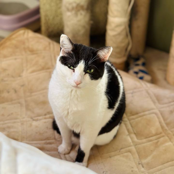 590a5187 413a 4906 abfa 1a48573b92be 1678586222526