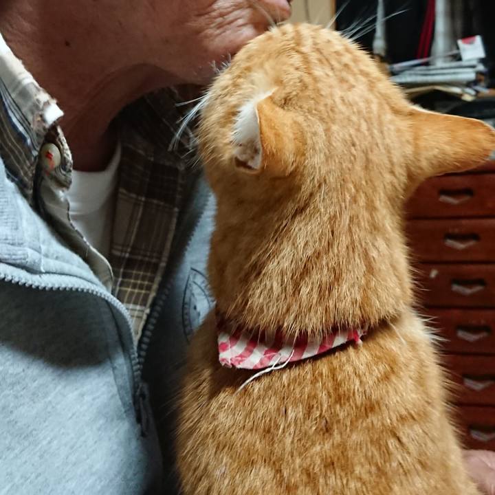 590a64d1 4ddc 42d0 b51d cac6db97fd7d 1607370956664