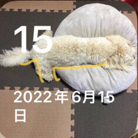 590a6f6f f683 4f41 bf30 3abe1103fcf8 1686816050028