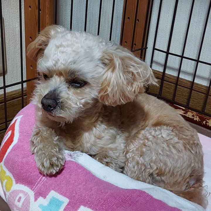 590a705e 9428 47a4 8f49 98157aa21066 1650764610563