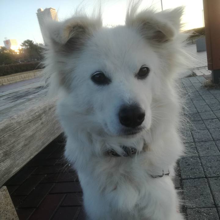 590a7290 f055 40ae 88db 1450aa808b34 1516753095991