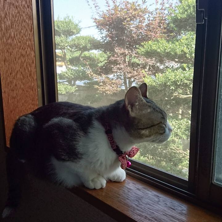 590a9595 6300 45e1 a817 3bebd5986cd3 1531700955759