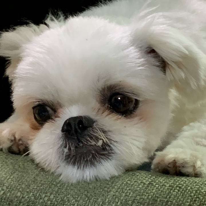 590aa418 a881 409f 8eb1 84aed0c7da91 1694089397659