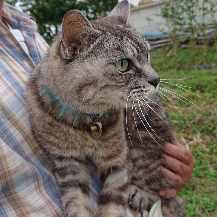 590ada2c 1c5d 43f4 b56d e3eb53040d2b 1569708610698