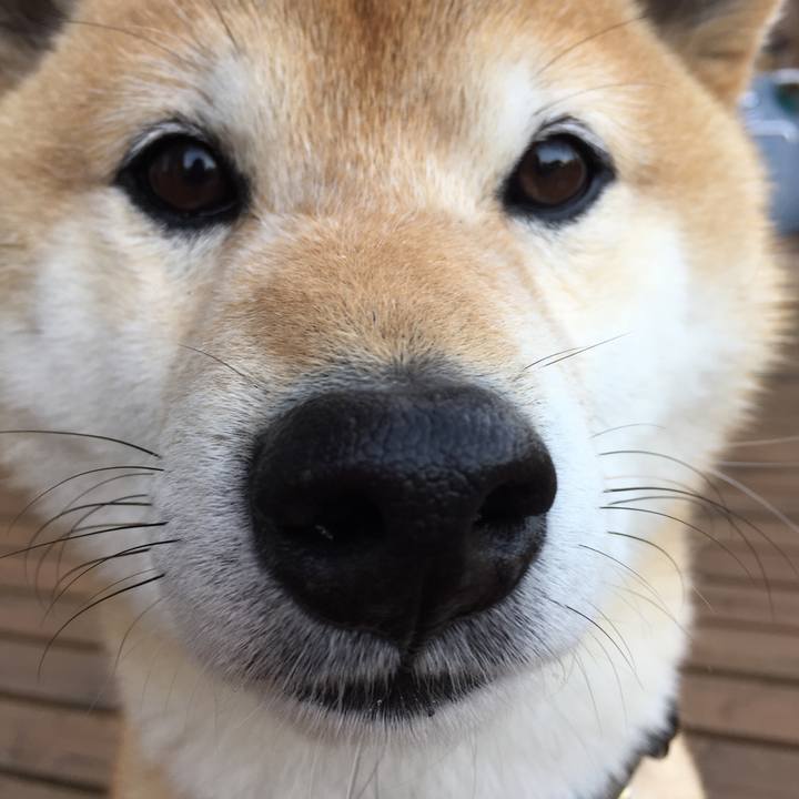 590af407 9772 4785 af73 13706a87ed15 1524206426384