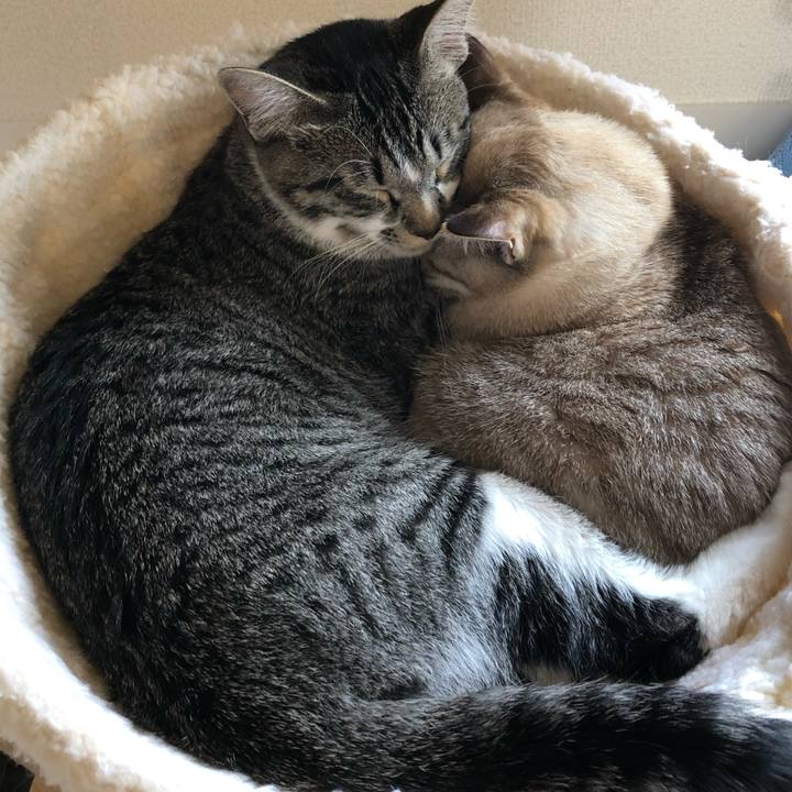 590af557 d114 4ff4 a768 777667e1e589 1651411622117