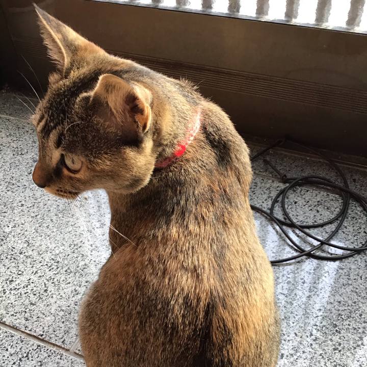 590b0080 0952 428c a04f 97bc417481d7 1578979343266