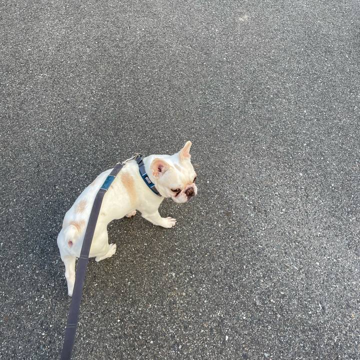 590b02ee f78b 4ae2 b2a0 05a7046f4a88 1608201690569