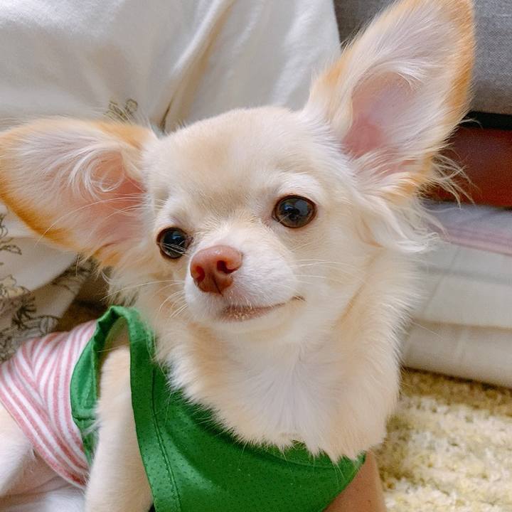 590b29be 7a6c 45d5 a05a e38086354bcf 1599369403282