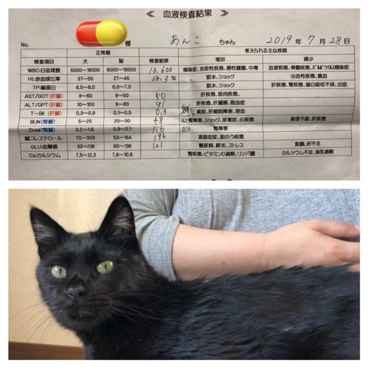 590b5fee 3630 46ff 9955 e5755e4d5124 1564315920285