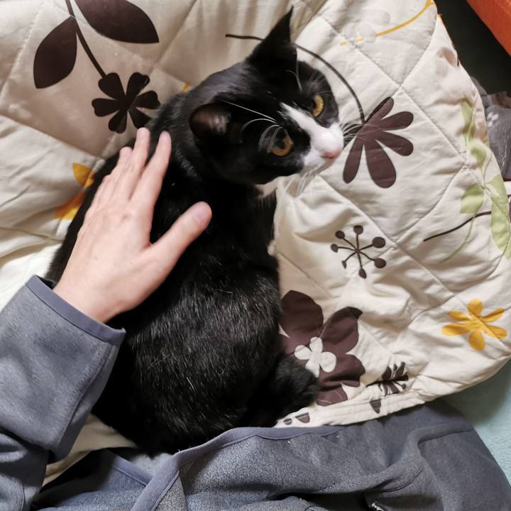 590b772f c8b4 4091 80c6 c74ad54ae98d 1669177524126